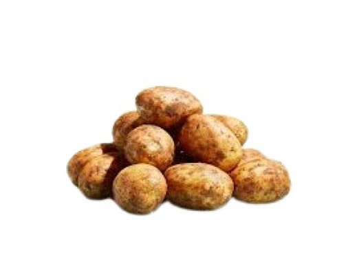 Round Naturally Grown Healthy And Nutritious Brown Oval Shape Fresh Potato