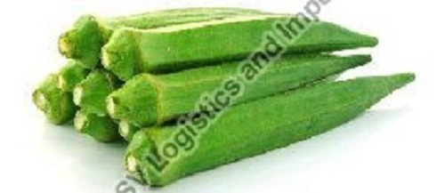 Lady Finger - Raw Long Green Fresh Produce | 100% Pure A Grade Preservatives-Free Health Friendly Nutrition Enriched Pesticide-Free 3 Days Shelf Life