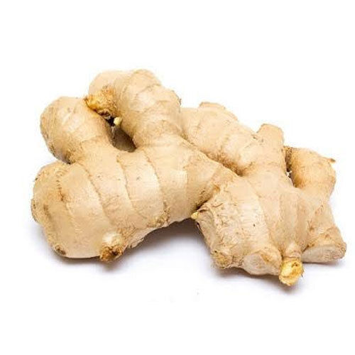 1-3 Months Shelf Life No Preservatives Ginger For Cooking