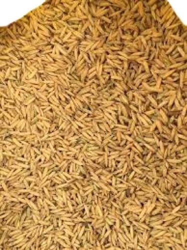 100% शुद्ध सामान्य रूप से उगाए जाने वाले सूखे मध्यम अनाज के आकार का धान चावल 