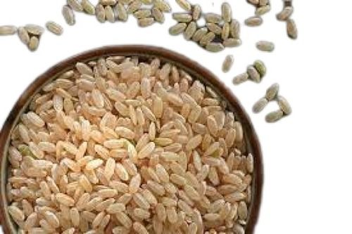  100% शुद्ध मध्यम अनाज भारतीय मूल की सामान्य खेती सूखा चावल 