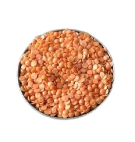 100% Pure Round Shape Medium Grain Size Whole Dried Masoor Dal