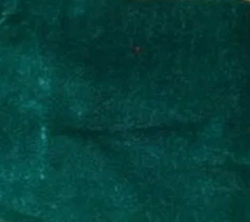 Green 60 Inch Width 100% Polyester Velvet Plain Pattern Fabric 