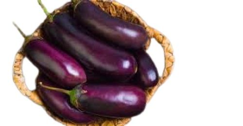 Fresh Naturally Grown Oval Shape Raw Brinjal For Cooking Use Shelf Life: 3 Days