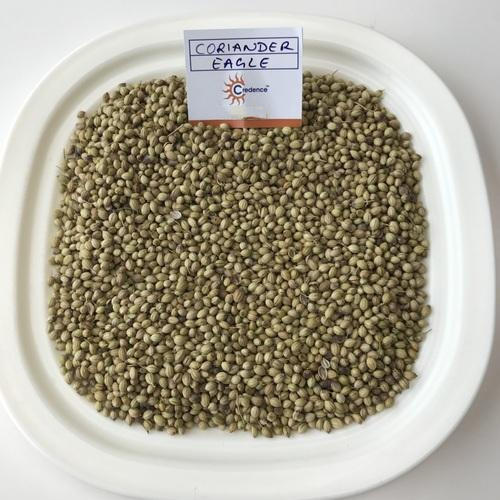Natural Sun Dried Organic Coriander Seed For Cooking Use