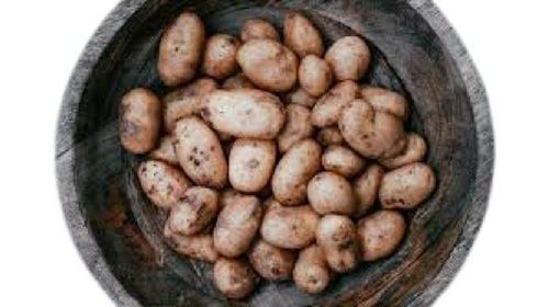 Naturally Grown Fresh Oval Shape Raw Brown Potato