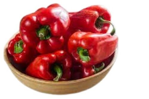 Red Round Shape Farm Fresh Bell Peppers Shelf Life: 4 Days