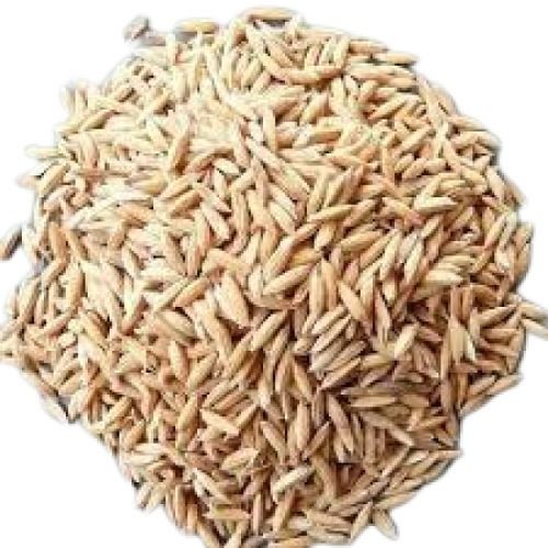 Brown A Grade 100% Pure Indian Origin Dried Medium Grain Paddy Rice