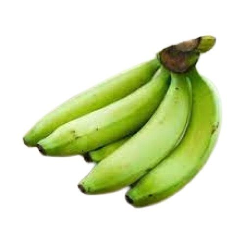 Commonly Cultivated Long Shape Medium Sized Tasty Green Banana