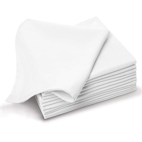 20 X 20 Cm 2 Ply White Plain Dinner Napkin