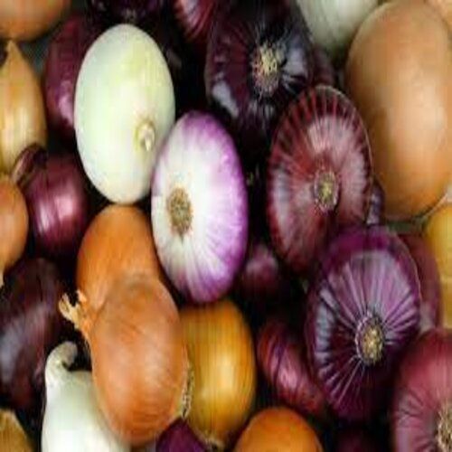 Export Quality Small And Medium Size Farm Fresh Red And Pink Onion