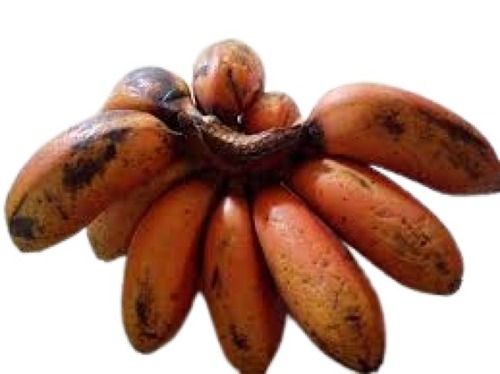 Farm Fresh Indian Origin Sweet Cultivated Taste Red Banana