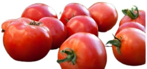 Naturally Grown Round Shape Red Fresh Tomatoes Shelf Life: 4 Days