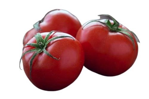 A Grade Farm Fresh Red Tomatoes