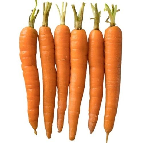 A Grade Indian Origin Naturally Grown Farm Fresh Long Shape Carrot
