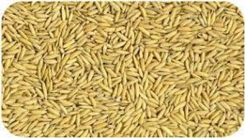 Commonly Cultivated Long Grain Dried 100% Pure Paddy Rice