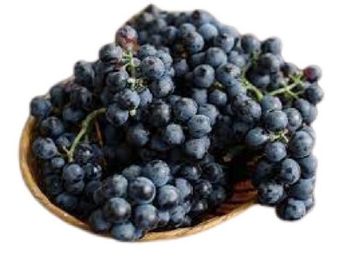 Common Round Shape Commonly Cultivated Sweet Tasty Fresh Black Grapes