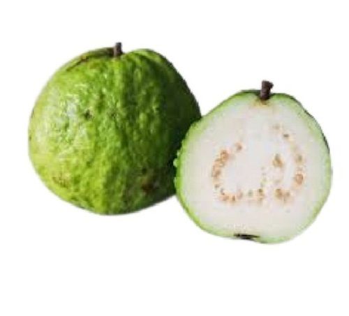 Farm Fresh Commonly Cultivated Sweet Tasty Green Guava