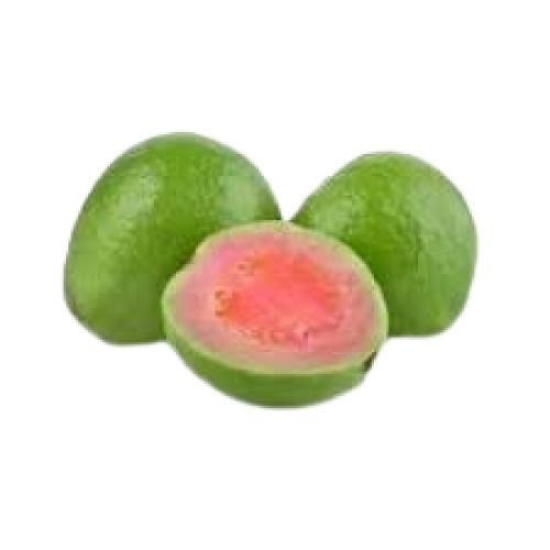 Common Red Round Shape Indian Origin Sweet Tasty Guava