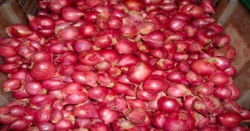 Export Quality Farm Fresh Small Red Onion For Cooking And Salad