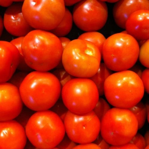 Naturally Grown Round Shape Healthy Tasty Farm Fresh Raw Tomato Shelf Life: 3 Days