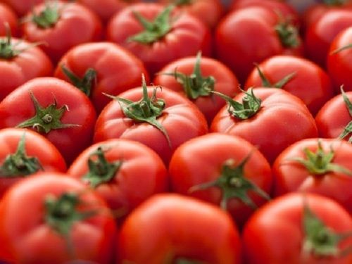 Round Shape Farm Fresh Red Tomatoes Shelf Life: 3 Days