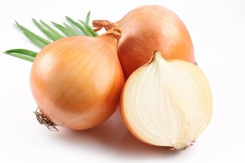 Round Shape Naturally Grown Brown Onion Shelf Life: 1 Week