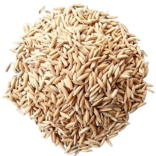  100% शुद्ध भारत मूल का सूखा लंबे दाने वाला भूरा धान चावल