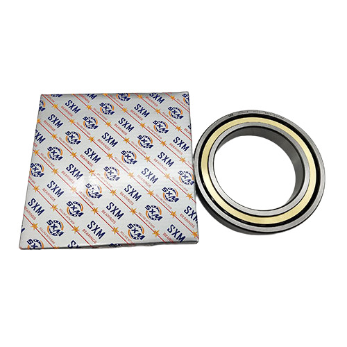 Angular Contact Ball Bearings with Good Load Capacity and Contact angle of 15A  to 25A 