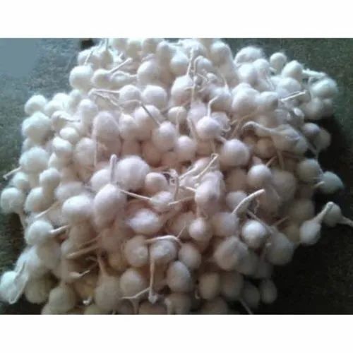 COTTON SMALL WICKS