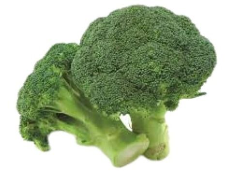 Farm Fresh Raw Processing Form Round Shape Green Fresh Broccoli Moisture (%): 82.87%