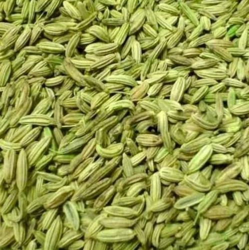 Green Pure And Natural Dried Raw Fennel Seeds