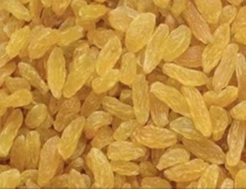 Yellow 18-22% Moisture A-Grade Enriched Healthy Dried Raw Elongated Sweet Kismis Dry Fruit