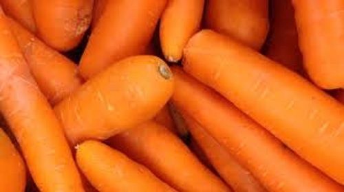 Naturally Grown Organic And Long Shape Farm Fresh Carrot
