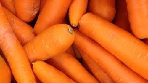 Naturally Grown Organic And Long Shape Farm Fresh Carrot Shelf Life: 2 Week