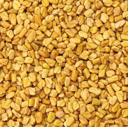 Pure And Dried Commonly Cultivated Raw Organic Fenugreek Seeds