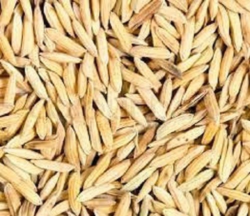 100% Pure Commonly Cultivated Long Grain Air Dried Paddy Rice