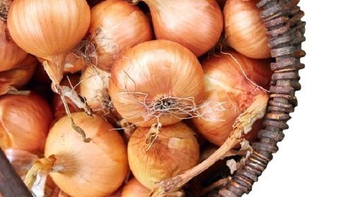 A Grade Indian Origin Naturally Grown Pure Farm Fresh Raw Onions Moisture (%): 55%