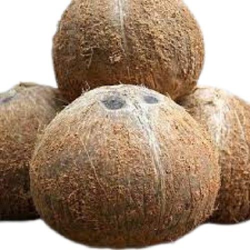 Brown Full Husked Round Shape Matured Dry Coconut 