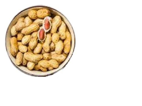 Commonly Cultivated A Grade Naturally Grown 100% Pure Groundnut Seeds