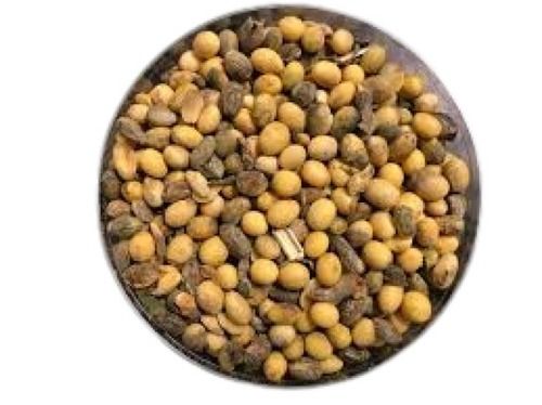 Commonly Cultivated Organic A Grade 100% Pure Brown Soybean Seeds