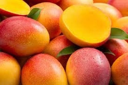 Yellow Indian Origin Commonly Cultivated Summer Season Sweet Taste Mango