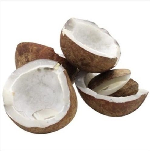 Brown Indian Origin Fresh Organic Dried Whole Coconut Copra