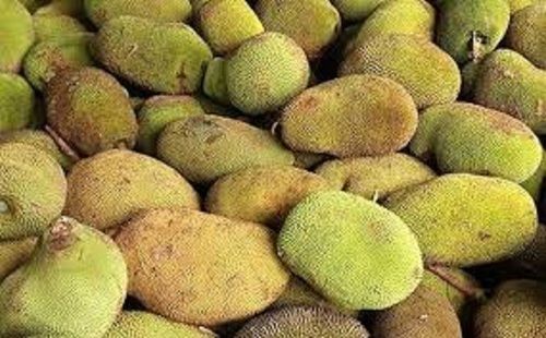 Naturally Grown Oval Shape Fresh Raw Jack Fruit Shelf Life: 1 Week