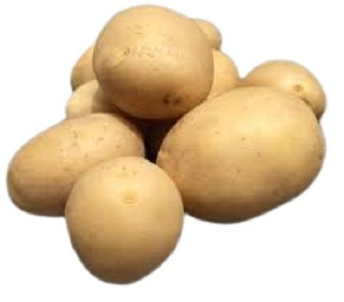 Naturally Grown Round Shape Fresh Potato