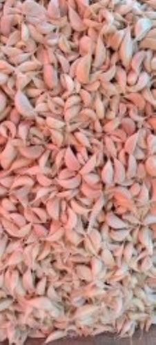 Organic 99% Pure 14% Moisture Content Sun Dried A-Grade Strong Flavour Natural Garlic Seeds
