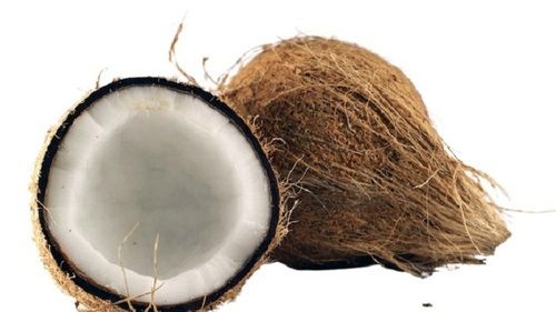 Common Round Shape Brown Medium Size Young Fresh Coconut