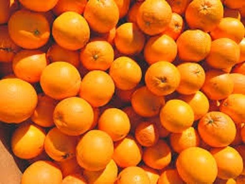 Sweet Tasty Round Shape Medium Size Common Cultivated Fresh Orange