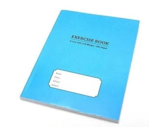 Lightweight 200 Pages Four Lines With Left Margin 2 Pin Binding A4 Notebook For Writing 