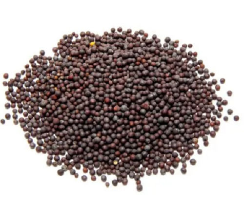 Healthy And Natural Taste Pure 99% Organic Black Mustard Seeds